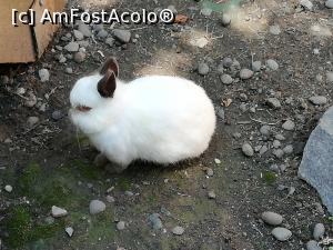 [P53] <strong>Grădina zoo Tîrgu Mureş</strong> » foto by ⭐ValentinB_88⭐
 - 
<span class="allrVoted glyphicon glyphicon-heart hidden" id="av1235279"></span>
<a class="m-l-10 hidden" id="sv1235279" onclick="voting_Foto_DelVot(,1235279,17687)" role="button">șterge vot <span class="glyphicon glyphicon-remove"></span></a>
<a id="v91235279" class=" c-red"  onclick="voting_Foto_SetVot(1235279)" role="button"><span class="glyphicon glyphicon-heart-empty"></span> <b>LIKE</b> = Votează poza</a> <img class="hidden"  id="f1235279W9" src="/imagini/loader.gif" border="0" /><span class="AjErrMes hidden" id="e1235279ErM"></span>