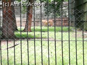 [P09] <strong>Grădina zoo Tîrgu Mureş</strong> » foto by ⭐ValentinB_88⭐
 - 
<span class="allrVoted glyphicon glyphicon-heart hidden" id="av1235235"></span>
<a class="m-l-10 hidden" id="sv1235235" onclick="voting_Foto_DelVot(,1235235,17687)" role="button">șterge vot <span class="glyphicon glyphicon-remove"></span></a>
<a id="v91235235" class=" c-red"  onclick="voting_Foto_SetVot(1235235)" role="button"><span class="glyphicon glyphicon-heart-empty"></span> <b>LIKE</b> = Votează poza</a> <img class="hidden"  id="f1235235W9" src="/imagini/loader.gif" border="0" /><span class="AjErrMes hidden" id="e1235235ErM"></span>