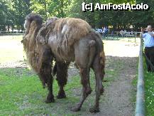 [P21] Scuzati, camila tocmai isi schimba lenjeria intima » foto by dorgo
 - 
<span class="allrVoted glyphicon glyphicon-heart hidden" id="av202961"></span>
<a class="m-l-10 hidden" id="sv202961" onclick="voting_Foto_DelVot(,202961,17687)" role="button">șterge vot <span class="glyphicon glyphicon-remove"></span></a>
<a id="v9202961" class=" c-red"  onclick="voting_Foto_SetVot(202961)" role="button"><span class="glyphicon glyphicon-heart-empty"></span> <b>LIKE</b> = Votează poza</a> <img class="hidden"  id="f202961W9" src="/imagini/loader.gif" border="0" /><span class="AjErrMes hidden" id="e202961ErM"></span>