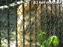 [P22] Daca esti asa de cuminte si maine, te primim in 'Lion's Club' » foto by dorgo
 - 
<span class="allrVoted glyphicon glyphicon-heart hidden" id="av202962"></span>
<a class="m-l-10 hidden" id="sv202962" onclick="voting_Foto_DelVot(,202962,17687)" role="button">șterge vot <span class="glyphicon glyphicon-remove"></span></a>
<a id="v9202962" class=" c-red"  onclick="voting_Foto_SetVot(202962)" role="button"><span class="glyphicon glyphicon-heart-empty"></span> <b>LIKE</b> = Votează poza</a> <img class="hidden"  id="f202962W9" src="/imagini/loader.gif" border="0" /><span class="AjErrMes hidden" id="e202962ErM"></span>