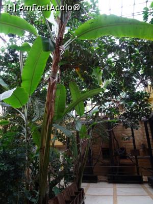 [P04] Pavilionul exotic al maimuțelor. » foto by tata123 🔱
 - 
<span class="allrVoted glyphicon glyphicon-heart hidden" id="av1186842"></span>
<a class="m-l-10 hidden" id="sv1186842" onclick="voting_Foto_DelVot(,1186842,17687)" role="button">șterge vot <span class="glyphicon glyphicon-remove"></span></a>
<a id="v91186842" class=" c-red"  onclick="voting_Foto_SetVot(1186842)" role="button"><span class="glyphicon glyphicon-heart-empty"></span> <b>LIKE</b> = Votează poza</a> <img class="hidden"  id="f1186842W9" src="/imagini/loader.gif" border="0" /><span class="AjErrMes hidden" id="e1186842ErM"></span>
