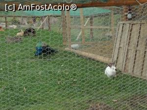 [P05] Zona zoo de la Complexul Montana Garden din Răşinari, judeţul Sibiu.  » foto by traian.leuca †
 - 
<span class="allrVoted glyphicon glyphicon-heart hidden" id="av1144745"></span>
<a class="m-l-10 hidden" id="sv1144745" onclick="voting_Foto_DelVot(,1144745,17702)" role="button">șterge vot <span class="glyphicon glyphicon-remove"></span></a>
<a id="v91144745" class=" c-red"  onclick="voting_Foto_SetVot(1144745)" role="button"><span class="glyphicon glyphicon-heart-empty"></span> <b>LIKE</b> = Votează poza</a> <img class="hidden"  id="f1144745W9" src="/imagini/loader.gif" border="0" /><span class="AjErrMes hidden" id="e1144745ErM"></span>