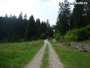 [P01] Din drumul principal ce străbate localitatea Voroneț intrăm spre dreapta și urcăm pe această alee pietruită care ne va conduce la Vila Doina.  » foto by Floryn81
 - 
<span class="allrVoted glyphicon glyphicon-heart hidden" id="av572931"></span>
<a class="m-l-10 hidden" id="sv572931" onclick="voting_Foto_DelVot(,572931,17709)" role="button">șterge vot <span class="glyphicon glyphicon-remove"></span></a>
<a id="v9572931" class=" c-red"  onclick="voting_Foto_SetVot(572931)" role="button"><span class="glyphicon glyphicon-heart-empty"></span> <b>LIKE</b> = Votează poza</a> <img class="hidden"  id="f572931W9" src="/imagini/loader.gif" border="0" /><span class="AjErrMes hidden" id="e572931ErM"></span>