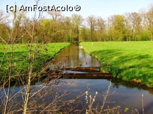 [P26] Parcul castelului » foto by Radu Tudoran
 - 
<span class="allrVoted glyphicon glyphicon-heart hidden" id="av860343"></span>
<a class="m-l-10 hidden" id="sv860343" onclick="voting_Foto_DelVot(,860343,17711)" role="button">șterge vot <span class="glyphicon glyphicon-remove"></span></a>
<a id="v9860343" class=" c-red"  onclick="voting_Foto_SetVot(860343)" role="button"><span class="glyphicon glyphicon-heart-empty"></span> <b>LIKE</b> = Votează poza</a> <img class="hidden"  id="f860343W9" src="/imagini/loader.gif" border="0" /><span class="AjErrMes hidden" id="e860343ErM"></span>