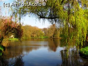 [P29] Apa nu poate lipsi dintr-un peisaj olandez » foto by Radu Tudoran
 - 
<span class="allrVoted glyphicon glyphicon-heart hidden" id="av860346"></span>
<a class="m-l-10 hidden" id="sv860346" onclick="voting_Foto_DelVot(,860346,17711)" role="button">șterge vot <span class="glyphicon glyphicon-remove"></span></a>
<a id="v9860346" class=" c-red"  onclick="voting_Foto_SetVot(860346)" role="button"><span class="glyphicon glyphicon-heart-empty"></span> <b>LIKE</b> = Votează poza</a> <img class="hidden"  id="f860346W9" src="/imagini/loader.gif" border="0" /><span class="AjErrMes hidden" id="e860346ErM"></span>