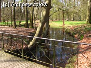 [P13] Parcul castelului » foto by Radu Tudoran
 - 
<span class="allrVoted glyphicon glyphicon-heart hidden" id="av903418"></span>
<a class="m-l-10 hidden" id="sv903418" onclick="voting_Foto_DelVot(,903418,17711)" role="button">șterge vot <span class="glyphicon glyphicon-remove"></span></a>
<a id="v9903418" class=" c-red"  onclick="voting_Foto_SetVot(903418)" role="button"><span class="glyphicon glyphicon-heart-empty"></span> <b>LIKE</b> = Votează poza</a> <img class="hidden"  id="f903418W9" src="/imagini/loader.gif" border="0" /><span class="AjErrMes hidden" id="e903418ErM"></span>