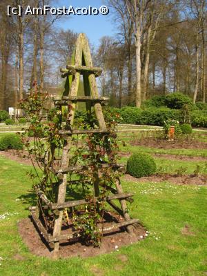 [P14] Gradina cu trandafiri » foto by Radu Tudoran
 - 
<span class="allrVoted glyphicon glyphicon-heart hidden" id="av903419"></span>
<a class="m-l-10 hidden" id="sv903419" onclick="voting_Foto_DelVot(,903419,17711)" role="button">șterge vot <span class="glyphicon glyphicon-remove"></span></a>
<a id="v9903419" class=" c-red"  onclick="voting_Foto_SetVot(903419)" role="button"><span class="glyphicon glyphicon-heart-empty"></span> <b>LIKE</b> = Votează poza</a> <img class="hidden"  id="f903419W9" src="/imagini/loader.gif" border="0" /><span class="AjErrMes hidden" id="e903419ErM"></span>