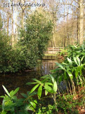 [P20] In parcul castelului » foto by Radu Tudoran
 - 
<span class="allrVoted glyphicon glyphicon-heart hidden" id="av903425"></span>
<a class="m-l-10 hidden" id="sv903425" onclick="voting_Foto_DelVot(,903425,17711)" role="button">șterge vot <span class="glyphicon glyphicon-remove"></span></a>
<a id="v9903425" class=" c-red"  onclick="voting_Foto_SetVot(903425)" role="button"><span class="glyphicon glyphicon-heart-empty"></span> <b>LIKE</b> = Votează poza</a> <img class="hidden"  id="f903425W9" src="/imagini/loader.gif" border="0" /><span class="AjErrMes hidden" id="e903425ErM"></span>