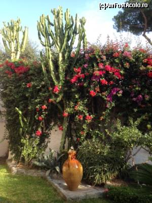 [P04] Gradinita din fata balconului » foto by TEOANCA
 - 
<span class="allrVoted glyphicon glyphicon-heart hidden" id="av573750"></span>
<a class="m-l-10 hidden" id="sv573750" onclick="voting_Foto_DelVot(,573750,17715)" role="button">șterge vot <span class="glyphicon glyphicon-remove"></span></a>
<a id="v9573750" class=" c-red"  onclick="voting_Foto_SetVot(573750)" role="button"><span class="glyphicon glyphicon-heart-empty"></span> <b>LIKE</b> = Votează poza</a> <img class="hidden"  id="f573750W9" src="/imagini/loader.gif" border="0" /><span class="AjErrMes hidden" id="e573750ErM"></span>