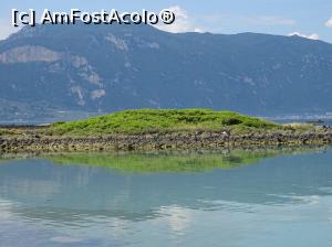 [P11] Una dintre insulele arhipelagului Lichadonisia » foto by Cris
 - 
<span class="allrVoted glyphicon glyphicon-heart hidden" id="av859793"></span>
<a class="m-l-10 hidden" id="sv859793" onclick="voting_Foto_DelVot(,859793,17719)" role="button">șterge vot <span class="glyphicon glyphicon-remove"></span></a>
<a id="v9859793" class=" c-red"  onclick="voting_Foto_SetVot(859793)" role="button"><span class="glyphicon glyphicon-heart-empty"></span> <b>LIKE</b> = Votează poza</a> <img class="hidden"  id="f859793W9" src="/imagini/loader.gif" border="0" /><span class="AjErrMes hidden" id="e859793ErM"></span>