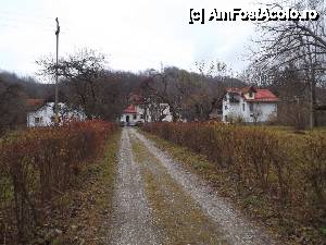 [P04] Pensiunea Vraja Munților - asta se vede când intrați pe proprietate » foto by Dragoș_MD
 - 
<span class="allrVoted glyphicon glyphicon-heart hidden" id="av575633"></span>
<a class="m-l-10 hidden" id="sv575633" onclick="voting_Foto_DelVot(,575633,17743)" role="button">șterge vot <span class="glyphicon glyphicon-remove"></span></a>
<a id="v9575633" class=" c-red"  onclick="voting_Foto_SetVot(575633)" role="button"><span class="glyphicon glyphicon-heart-empty"></span> <b>LIKE</b> = Votează poza</a> <img class="hidden"  id="f575633W9" src="/imagini/loader.gif" border="0" /><span class="AjErrMes hidden" id="e575633ErM"></span>