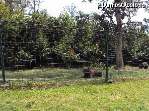 [P28] 26. Jofi vine de la grădina zoologică din Târgu Mureș. În plan secund, Jofița.  » foto by msnd
 - 
<span class="allrVoted glyphicon glyphicon-heart hidden" id="av578562"></span>
<a class="m-l-10 hidden" id="sv578562" onclick="voting_Foto_DelVot(,578562,17778)" role="button">șterge vot <span class="glyphicon glyphicon-remove"></span></a>
<a id="v9578562" class=" c-red"  onclick="voting_Foto_SetVot(578562)" role="button"><span class="glyphicon glyphicon-heart-empty"></span> <b>LIKE</b> = Votează poza</a> <img class="hidden"  id="f578562W9" src="/imagini/loader.gif" border="0" /><span class="AjErrMes hidden" id="e578562ErM"></span>