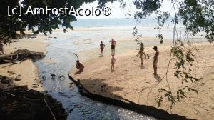 [P32] Monkey Trail - maimute » foto by elenaadina
 - 
<span class="allrVoted glyphicon glyphicon-heart hidden" id="av1524864"></span>
<a class="m-l-10 hidden" id="sv1524864" onclick="voting_Foto_DelVot(,1524864,17822)" role="button">șterge vot <span class="glyphicon glyphicon-remove"></span></a>
<a id="v91524864" class=" c-red"  onclick="voting_Foto_SetVot(1524864)" role="button"><span class="glyphicon glyphicon-heart-empty"></span> <b>LIKE</b> = Votează poza</a> <img class="hidden"  id="f1524864W9" src="/imagini/loader.gif" border="0" /><span class="AjErrMes hidden" id="e1524864ErM"></span>