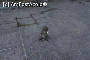 [P07] Hello, little human » foto by Tesaria
 - 
<span class="allrVoted glyphicon glyphicon-heart hidden" id="av973105"></span>
<a class="m-l-10 hidden" id="sv973105" onclick="voting_Foto_DelVot(,973105,17822)" role="button">șterge vot <span class="glyphicon glyphicon-remove"></span></a>
<a id="v9973105" class=" c-red"  onclick="voting_Foto_SetVot(973105)" role="button"><span class="glyphicon glyphicon-heart-empty"></span> <b>LIKE</b> = Votează poza</a> <img class="hidden"  id="f973105W9" src="/imagini/loader.gif" border="0" /><span class="AjErrMes hidden" id="e973105ErM"></span>