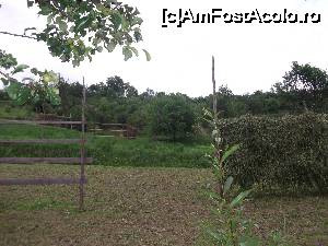 [P09] pajistea din spatele pensiunii air in stanga sus in dreptul parului de lemn de la fanareata se vede casa bunicii » foto by bobyrodin
 - 
<span class="allrVoted glyphicon glyphicon-heart hidden" id="av631067"></span>
<a class="m-l-10 hidden" id="sv631067" onclick="voting_Foto_DelVot(,631067,17858)" role="button">șterge vot <span class="glyphicon glyphicon-remove"></span></a>
<a id="v9631067" class=" c-red"  onclick="voting_Foto_SetVot(631067)" role="button"><span class="glyphicon glyphicon-heart-empty"></span> <b>LIKE</b> = Votează poza</a> <img class="hidden"  id="f631067W9" src="/imagini/loader.gif" border="0" /><span class="AjErrMes hidden" id="e631067ErM"></span>