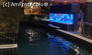 [P06] Aqua Palace » foto by printesa82
 - 
<span class="allrVoted glyphicon glyphicon-heart hidden" id="av748110"></span>
<a class="m-l-10 hidden" id="sv748110" onclick="voting_Foto_DelVot(,748110,17859)" role="button">șterge vot <span class="glyphicon glyphicon-remove"></span></a>
<a id="v9748110" class=" c-red"  onclick="voting_Foto_SetVot(748110)" role="button"><span class="glyphicon glyphicon-heart-empty"></span> <b>LIKE</b> = Votează poza</a> <img class="hidden"  id="f748110W9" src="/imagini/loader.gif" border="0" /><span class="AjErrMes hidden" id="e748110ErM"></span>