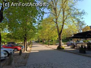 [P52] Uppsala, mergem spre Castel și iar verde crud.... » foto by mprofeanu
 - 
<span class="allrVoted glyphicon glyphicon-heart hidden" id="av1513428"></span>
<a class="m-l-10 hidden" id="sv1513428" onclick="voting_Foto_DelVot(,1513428,17905)" role="button">șterge vot <span class="glyphicon glyphicon-remove"></span></a>
<a id="v91513428" class=" c-red"  onclick="voting_Foto_SetVot(1513428)" role="button"><span class="glyphicon glyphicon-heart-empty"></span> <b>LIKE</b> = Votează poza</a> <img class="hidden"  id="f1513428W9" src="/imagini/loader.gif" border="0" /><span class="AjErrMes hidden" id="e1513428ErM"></span>