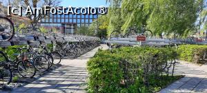 [P09] Uppsala, Primăria și parcare de biciclete » foto by mprofeanu
 - 
<span class="allrVoted glyphicon glyphicon-heart hidden" id="av1513385"></span>
<a class="m-l-10 hidden" id="sv1513385" onclick="voting_Foto_DelVot(,1513385,17905)" role="button">șterge vot <span class="glyphicon glyphicon-remove"></span></a>
<a id="v91513385" class=" c-red"  onclick="voting_Foto_SetVot(1513385)" role="button"><span class="glyphicon glyphicon-heart-empty"></span> <b>LIKE</b> = Votează poza</a> <img class="hidden"  id="f1513385W9" src="/imagini/loader.gif" border="0" /><span class="AjErrMes hidden" id="e1513385ErM"></span>