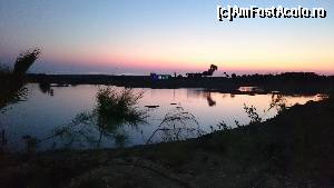 [P34]  -- <small>// FĂRĂ DESCRIERE</small> » foto by ramurica
 - 
<span class="allrVoted glyphicon glyphicon-heart hidden" id="av651741"></span>
<a class="m-l-10 hidden" id="sv651741" onclick="voting_Foto_DelVot(,651741,17911)" role="button">șterge vot <span class="glyphicon glyphicon-remove"></span></a>
<a id="v9651741" class=" c-red"  onclick="voting_Foto_SetVot(651741)" role="button"><span class="glyphicon glyphicon-heart-empty"></span> <b>LIKE</b> = Votează poza</a> <img class="hidden"  id="f651741W9" src="/imagini/loader.gif" border="0" /><span class="AjErrMes hidden" id="e651741ErM"></span>