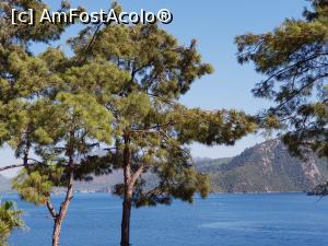 [P01] ORKA din pădurea de pini - marea văzută din balcon » foto by nicole33
 - 
<span class="allrVoted glyphicon glyphicon-heart hidden" id="av1220450"></span>
<a class="m-l-10 hidden" id="sv1220450" onclick="voting_Foto_DelVot(,1220450,17920)" role="button">șterge vot <span class="glyphicon glyphicon-remove"></span></a>
<a id="v91220450" class=" c-red"  onclick="voting_Foto_SetVot(1220450)" role="button"><span class="glyphicon glyphicon-heart-empty"></span> <b>LIKE</b> = Votează poza</a> <img class="hidden"  id="f1220450W9" src="/imagini/loader.gif" border="0" /><span class="AjErrMes hidden" id="e1220450ErM"></span>