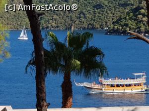 [P02] ORKA din pădurea de pini - super vdere la mare » foto by nicole33
 - 
<span class="allrVoted glyphicon glyphicon-heart hidden" id="av1220451"></span>
<a class="m-l-10 hidden" id="sv1220451" onclick="voting_Foto_DelVot(,1220451,17920)" role="button">șterge vot <span class="glyphicon glyphicon-remove"></span></a>
<a id="v91220451" class=" c-red"  onclick="voting_Foto_SetVot(1220451)" role="button"><span class="glyphicon glyphicon-heart-empty"></span> <b>LIKE</b> = Votează poza</a> <img class="hidden"  id="f1220451W9" src="/imagini/loader.gif" border="0" /><span class="AjErrMes hidden" id="e1220451ErM"></span>