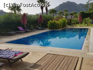 [P39] ORKA din pădurea de pini - piscină exterioară » foto by nicole33
 - 
<span class="allrVoted glyphicon glyphicon-heart hidden" id="av1220488"></span>
<a class="m-l-10 hidden" id="sv1220488" onclick="voting_Foto_DelVot(,1220488,17920)" role="button">șterge vot <span class="glyphicon glyphicon-remove"></span></a>
<a id="v91220488" class=" c-red"  onclick="voting_Foto_SetVot(1220488)" role="button"><span class="glyphicon glyphicon-heart-empty"></span> <b>LIKE</b> = Votează poza</a> <img class="hidden"  id="f1220488W9" src="/imagini/loader.gif" border="0" /><span class="AjErrMes hidden" id="e1220488ErM"></span>