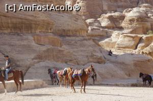 [P11] Petra. Pe drum » foto by Millana
 - 
<span class="allrVoted glyphicon glyphicon-heart hidden" id="av805648"></span>
<a class="m-l-10 hidden" id="sv805648" onclick="voting_Foto_DelVot(,805648,17929)" role="button">șterge vot <span class="glyphicon glyphicon-remove"></span></a>
<a id="v9805648" class=" c-red"  onclick="voting_Foto_SetVot(805648)" role="button"><span class="glyphicon glyphicon-heart-empty"></span> <b>LIKE</b> = Votează poza</a> <img class="hidden"  id="f805648W9" src="/imagini/loader.gif" border="0" /><span class="AjErrMes hidden" id="e805648ErM"></span>