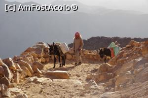 [P28] Asa ajunge apa pentru ceai si cafea pe Muntele Sinai.  » foto by Millana
 - 
<span class="allrVoted glyphicon glyphicon-heart hidden" id="av805669"></span>
<a class="m-l-10 hidden" id="sv805669" onclick="voting_Foto_DelVot(,805669,17929)" role="button">șterge vot <span class="glyphicon glyphicon-remove"></span></a>
<a id="v9805669" class=" c-red"  onclick="voting_Foto_SetVot(805669)" role="button"><span class="glyphicon glyphicon-heart-empty"></span> <b>LIKE</b> = Votează poza</a> <img class="hidden"  id="f805669W9" src="/imagini/loader.gif" border="0" /><span class="AjErrMes hidden" id="e805669ErM"></span>
