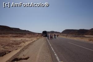 [P36] In desert.  » foto by Millana
 - 
<span class="allrVoted glyphicon glyphicon-heart hidden" id="av805677"></span>
<a class="m-l-10 hidden" id="sv805677" onclick="voting_Foto_DelVot(,805677,17929)" role="button">șterge vot <span class="glyphicon glyphicon-remove"></span></a>
<a id="v9805677" class=" c-red"  onclick="voting_Foto_SetVot(805677)" role="button"><span class="glyphicon glyphicon-heart-empty"></span> <b>LIKE</b> = Votează poza</a> <img class="hidden"  id="f805677W9" src="/imagini/loader.gif" border="0" /><span class="AjErrMes hidden" id="e805677ErM"></span>