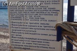 [P37] Taba. Marea Rosie. Instructiuni de folosire.  » foto by Millana
 - 
<span class="allrVoted glyphicon glyphicon-heart hidden" id="av805678"></span>
<a class="m-l-10 hidden" id="sv805678" onclick="voting_Foto_DelVot(,805678,17929)" role="button">șterge vot <span class="glyphicon glyphicon-remove"></span></a>
<a id="v9805678" class=" c-red"  onclick="voting_Foto_SetVot(805678)" role="button"><span class="glyphicon glyphicon-heart-empty"></span> <b>LIKE</b> = Votează poza</a> <img class="hidden"  id="f805678W9" src="/imagini/loader.gif" border="0" /><span class="AjErrMes hidden" id="e805678ErM"></span>
