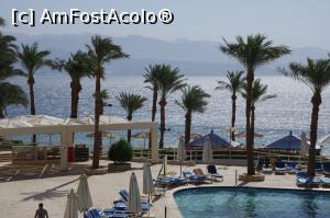 [P38] Hilton. Piscina si Marea Rosie.  » foto by Millana
 - 
<span class="allrVoted glyphicon glyphicon-heart hidden" id="av805679"></span>
<a class="m-l-10 hidden" id="sv805679" onclick="voting_Foto_DelVot(,805679,17929)" role="button">șterge vot <span class="glyphicon glyphicon-remove"></span></a>
<a id="v9805679" class=" c-red"  onclick="voting_Foto_SetVot(805679)" role="button"><span class="glyphicon glyphicon-heart-empty"></span> <b>LIKE</b> = Votează poza</a> <img class="hidden"  id="f805679W9" src="/imagini/loader.gif" border="0" /><span class="AjErrMes hidden" id="e805679ErM"></span>