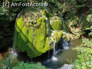 [P27] Cascada Bigăr - vedere de pe podețul de lemn din vecinătate.  » foto by Floryn81
 - 
<span class="allrVoted glyphicon glyphicon-heart hidden" id="av1118502"></span>
<a class="m-l-10 hidden" id="sv1118502" onclick="voting_Foto_DelVot(,1118502,17936)" role="button">șterge vot <span class="glyphicon glyphicon-remove"></span></a>
<a id="v91118502" class=" c-red"  onclick="voting_Foto_SetVot(1118502)" role="button"><span class="glyphicon glyphicon-heart-empty"></span> <b>LIKE</b> = Votează poza</a> <img class="hidden"  id="f1118502W9" src="/imagini/loader.gif" border="0" /><span class="AjErrMes hidden" id="e1118502ErM"></span>