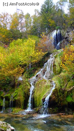 [P01] Cascada Cârșa, toamna » foto by Dragoș_MD
 - 
<span class="allrVoted glyphicon glyphicon-heart hidden" id="av1197517"></span>
<a class="m-l-10 hidden" id="sv1197517" onclick="voting_Foto_DelVot(,1197517,17936)" role="button">șterge vot <span class="glyphicon glyphicon-remove"></span></a>
<a id="v91197517" class=" c-red"  onclick="voting_Foto_SetVot(1197517)" role="button"><span class="glyphicon glyphicon-heart-empty"></span> <b>LIKE</b> = Votează poza</a> <img class="hidden"  id="f1197517W9" src="/imagini/loader.gif" border="0" /><span class="AjErrMes hidden" id="e1197517ErM"></span>