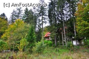 [P11] Clădirea fostei tabere Valea Minișului » foto by Dragoș_MD
 - 
<span class="allrVoted glyphicon glyphicon-heart hidden" id="av1197527"></span>
<a class="m-l-10 hidden" id="sv1197527" onclick="voting_Foto_DelVot(,1197527,17936)" role="button">șterge vot <span class="glyphicon glyphicon-remove"></span></a>
<a id="v91197527" class=" c-red"  onclick="voting_Foto_SetVot(1197527)" role="button"><span class="glyphicon glyphicon-heart-empty"></span> <b>LIKE</b> = Votează poza</a> <img class="hidden"  id="f1197527W9" src="/imagini/loader.gif" border="0" /><span class="AjErrMes hidden" id="e1197527ErM"></span>