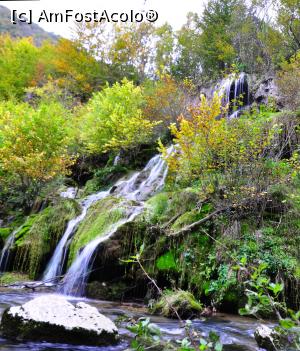 [P13] Cascada Cârșa » foto by Dragoș_MD
 - 
<span class="allrVoted glyphicon glyphicon-heart hidden" id="av1197529"></span>
<a class="m-l-10 hidden" id="sv1197529" onclick="voting_Foto_DelVot(,1197529,17936)" role="button">șterge vot <span class="glyphicon glyphicon-remove"></span></a>
<a id="v91197529" class=" c-red"  onclick="voting_Foto_SetVot(1197529)" role="button"><span class="glyphicon glyphicon-heart-empty"></span> <b>LIKE</b> = Votează poza</a> <img class="hidden"  id="f1197529W9" src="/imagini/loader.gif" border="0" /><span class="AjErrMes hidden" id="e1197529ErM"></span>
