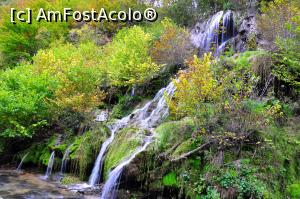 [P14] Cascada Cârșa » foto by Dragoș_MD
 - 
<span class="allrVoted glyphicon glyphicon-heart hidden" id="av1197530"></span>
<a class="m-l-10 hidden" id="sv1197530" onclick="voting_Foto_DelVot(,1197530,17936)" role="button">șterge vot <span class="glyphicon glyphicon-remove"></span></a>
<a id="v91197530" class=" c-red"  onclick="voting_Foto_SetVot(1197530)" role="button"><span class="glyphicon glyphicon-heart-empty"></span> <b>LIKE</b> = Votează poza</a> <img class="hidden"  id="f1197530W9" src="/imagini/loader.gif" border="0" /><span class="AjErrMes hidden" id="e1197530ErM"></span>