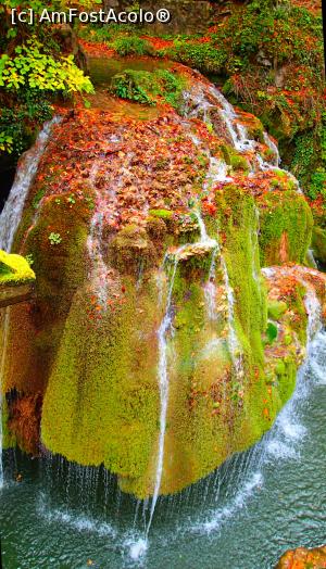 [P20] Cascada Bigăr, toamna » foto by Dragoș_MD
 - 
<span class="allrVoted glyphicon glyphicon-heart hidden" id="av1197536"></span>
<a class="m-l-10 hidden" id="sv1197536" onclick="voting_Foto_DelVot(,1197536,17936)" role="button">șterge vot <span class="glyphicon glyphicon-remove"></span></a>
<a id="v91197536" class=" c-red"  onclick="voting_Foto_SetVot(1197536)" role="button"><span class="glyphicon glyphicon-heart-empty"></span> <b>LIKE</b> = Votează poza</a> <img class="hidden"  id="f1197536W9" src="/imagini/loader.gif" border="0" /><span class="AjErrMes hidden" id="e1197536ErM"></span>