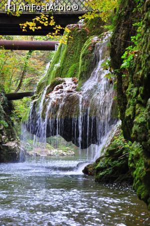 [P08] Cascada Bigăr, toamna » foto by Dragoș_MD
 - 
<span class="allrVoted glyphicon glyphicon-heart hidden" id="av1197524"></span>
<a class="m-l-10 hidden" id="sv1197524" onclick="voting_Foto_DelVot(,1197524,17936)" role="button">șterge vot <span class="glyphicon glyphicon-remove"></span></a>
<a id="v91197524" class=" c-red"  onclick="voting_Foto_SetVot(1197524)" role="button"><span class="glyphicon glyphicon-heart-empty"></span> <b>LIKE</b> = Votează poza</a> <img class="hidden"  id="f1197524W9" src="/imagini/loader.gif" border="0" /><span class="AjErrMes hidden" id="e1197524ErM"></span>