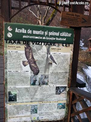 [P13] Panou cu informatii despre ceea ce zboara in zona dar nu se mananca » foto by Dan&Ema
 - 
<span class="allrVoted glyphicon glyphicon-heart hidden" id="av588915"></span>
<a class="m-l-10 hidden" id="sv588915" onclick="voting_Foto_DelVot(,588915,17936)" role="button">șterge vot <span class="glyphicon glyphicon-remove"></span></a>
<a id="v9588915" class=" c-red"  onclick="voting_Foto_SetVot(588915)" role="button"><span class="glyphicon glyphicon-heart-empty"></span> <b>LIKE</b> = Votează poza</a> <img class="hidden"  id="f588915W9" src="/imagini/loader.gif" border="0" /><span class="AjErrMes hidden" id="e588915ErM"></span>