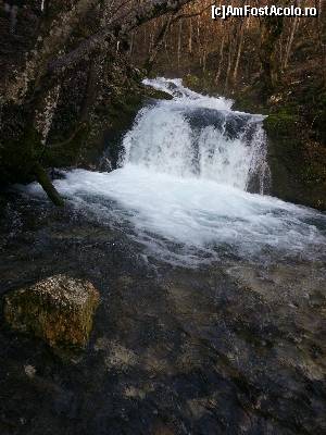 [P28] alta cascada de pe paraul Bigar » foto by Dan&Ema
 - 
<span class="allrVoted glyphicon glyphicon-heart hidden" id="av588930"></span>
<a class="m-l-10 hidden" id="sv588930" onclick="voting_Foto_DelVot(,588930,17936)" role="button">șterge vot <span class="glyphicon glyphicon-remove"></span></a>
<a id="v9588930" class=" c-red"  onclick="voting_Foto_SetVot(588930)" role="button"><span class="glyphicon glyphicon-heart-empty"></span> <b>LIKE</b> = Votează poza</a> <img class="hidden"  id="f588930W9" src="/imagini/loader.gif" border="0" /><span class="AjErrMes hidden" id="e588930ErM"></span>