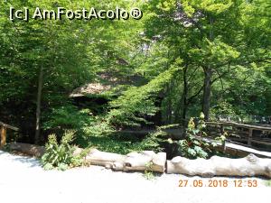 [P14] în Parcul Naţional sunt amenajate foişoare » foto by zlatna
 - 
<span class="allrVoted glyphicon glyphicon-heart hidden" id="av1059072"></span>
<a class="m-l-10 hidden" id="sv1059072" onclick="voting_Foto_DelVot(,1059072,17936)" role="button">șterge vot <span class="glyphicon glyphicon-remove"></span></a>
<a id="v91059072" class=" c-red"  onclick="voting_Foto_SetVot(1059072)" role="button"><span class="glyphicon glyphicon-heart-empty"></span> <b>LIKE</b> = Votează poza</a> <img class="hidden"  id="f1059072W9" src="/imagini/loader.gif" border="0" /><span class="AjErrMes hidden" id="e1059072ErM"></span>
