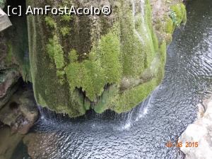 [P09] Cascada Bigãr. O “joacã” a naturii. Nu te saturi sa o privesti. Este superba.  » foto by vega06
 - 
<span class="allrVoted glyphicon glyphicon-heart hidden" id="av729989"></span>
<a class="m-l-10 hidden" id="sv729989" onclick="voting_Foto_DelVot(,729989,17936)" role="button">șterge vot <span class="glyphicon glyphicon-remove"></span></a>
<a id="v9729989" class=" c-red"  onclick="voting_Foto_SetVot(729989)" role="button"><span class="glyphicon glyphicon-heart-empty"></span> <b>LIKE</b> = Votează poza</a> <img class="hidden"  id="f729989W9" src="/imagini/loader.gif" border="0" /><span class="AjErrMes hidden" id="e729989ErM"></span>