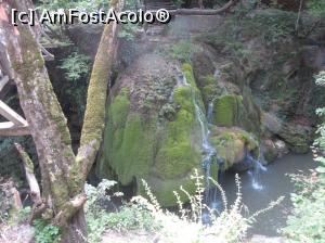 [P09] Cascada văzută de la foişor » foto by Michi
 - 
<span class="allrVoted glyphicon glyphicon-heart hidden" id="av1032418"></span>
<a class="m-l-10 hidden" id="sv1032418" onclick="voting_Foto_DelVot(,1032418,17936)" role="button">șterge vot <span class="glyphicon glyphicon-remove"></span></a>
<a id="v91032418" class=" c-red"  onclick="voting_Foto_SetVot(1032418)" role="button"><span class="glyphicon glyphicon-heart-empty"></span> <b>LIKE</b> = Votează poza</a> <img class="hidden"  id="f1032418W9" src="/imagini/loader.gif" border="0" /><span class="AjErrMes hidden" id="e1032418ErM"></span>