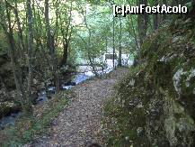 [P01] Rezervaţia Bigăr - cărarea de acces » foto by turist.real
 - 
<span class="allrVoted glyphicon glyphicon-heart hidden" id="av192449"></span>
<a class="m-l-10 hidden" id="sv192449" onclick="voting_Foto_DelVot(,192449,17936)" role="button">șterge vot <span class="glyphicon glyphicon-remove"></span></a>
<a id="v9192449" class=" c-red"  onclick="voting_Foto_SetVot(192449)" role="button"><span class="glyphicon glyphicon-heart-empty"></span> <b>LIKE</b> = Votează poza</a> <img class="hidden"  id="f192449W9" src="/imagini/loader.gif" border="0" /><span class="AjErrMes hidden" id="e192449ErM"></span>