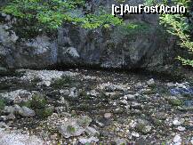 [P03] Izbucul Bigăr » foto by turist.real
 - 
<span class="allrVoted glyphicon glyphicon-heart hidden" id="av192452"></span>
<a class="m-l-10 hidden" id="sv192452" onclick="voting_Foto_DelVot(,192452,17936)" role="button">șterge vot <span class="glyphicon glyphicon-remove"></span></a>
<a id="v9192452" class=" c-red"  onclick="voting_Foto_SetVot(192452)" role="button"><span class="glyphicon glyphicon-heart-empty"></span> <b>LIKE</b> = Votează poza</a> <img class="hidden"  id="f192452W9" src="/imagini/loader.gif" border="0" /><span class="AjErrMes hidden" id="e192452ErM"></span>