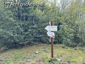 [P21] Coboram. Ce traseu să alegem?😬 » foto by Mika
 - 
<span class="allrVoted glyphicon glyphicon-heart hidden" id="av1509300"></span>
<a class="m-l-10 hidden" id="sv1509300" onclick="voting_Foto_DelVot(,1509300,17992)" role="button">șterge vot <span class="glyphicon glyphicon-remove"></span></a>
<a id="v91509300" class=" c-red"  onclick="voting_Foto_SetVot(1509300)" role="button"><span class="glyphicon glyphicon-heart-empty"></span> <b>LIKE</b> = Votează poza</a> <img class="hidden"  id="f1509300W9" src="/imagini/loader.gif" border="0" /><span class="AjErrMes hidden" id="e1509300ErM"></span>