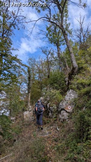 [P30] Pe traseul de creasta, dintre Cetatea Nagra și vârf » foto by Mika
 - 
<span class="allrVoted glyphicon glyphicon-heart hidden" id="av1509309"></span>
<a class="m-l-10 hidden" id="sv1509309" onclick="voting_Foto_DelVot(,1509309,17992)" role="button">șterge vot <span class="glyphicon glyphicon-remove"></span></a>
<a id="v91509309" class=" c-red"  onclick="voting_Foto_SetVot(1509309)" role="button"><span class="glyphicon glyphicon-heart-empty"></span> <b>LIKE</b> = Votează poza</a> <img class="hidden"  id="f1509309W9" src="/imagini/loader.gif" border="0" /><span class="AjErrMes hidden" id="e1509309ErM"></span>