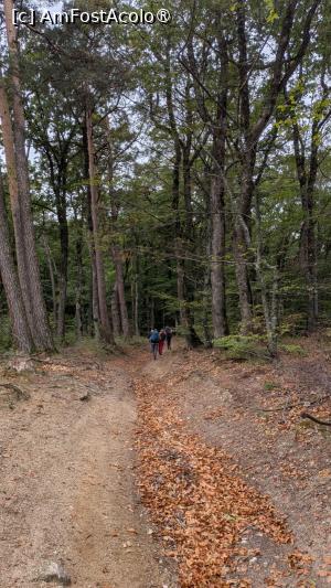 [P31] Prin pădurea colorata » foto by Mika
 - 
<span class="allrVoted glyphicon glyphicon-heart hidden" id="av1509310"></span>
<a class="m-l-10 hidden" id="sv1509310" onclick="voting_Foto_DelVot(,1509310,17992)" role="button">șterge vot <span class="glyphicon glyphicon-remove"></span></a>
<a id="v91509310" class=" c-red"  onclick="voting_Foto_SetVot(1509310)" role="button"><span class="glyphicon glyphicon-heart-empty"></span> <b>LIKE</b> = Votează poza</a> <img class="hidden"  id="f1509310W9" src="/imagini/loader.gif" border="0" /><span class="AjErrMes hidden" id="e1509310ErM"></span>