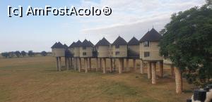 [P34] Sarova Salt Lick Safari Lodge » foto by robert
 - 
<span class="allrVoted glyphicon glyphicon-heart hidden" id="av1251980"></span>
<a class="m-l-10 hidden" id="sv1251980" onclick="voting_Foto_DelVot(,1251980,17996)" role="button">șterge vot <span class="glyphicon glyphicon-remove"></span></a>
<a id="v91251980" class=" c-red"  onclick="voting_Foto_SetVot(1251980)" role="button"><span class="glyphicon glyphicon-heart-empty"></span> <b>LIKE</b> = Votează poza</a> <img class="hidden"  id="f1251980W9" src="/imagini/loader.gif" border="0" /><span class="AjErrMes hidden" id="e1251980ErM"></span>