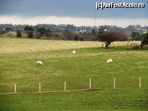 [P54] Peisaj tipic Tarii Galilor si insulei Anglesey: oi pascand linistite » foto by zuftim
 - 
<span class="allrVoted glyphicon glyphicon-heart hidden" id="av591348"></span>
<a class="m-l-10 hidden" id="sv591348" onclick="voting_Foto_DelVot(,591348,17998)" role="button">șterge vot <span class="glyphicon glyphicon-remove"></span></a>
<a id="v9591348" class=" c-red"  onclick="voting_Foto_SetVot(591348)" role="button"><span class="glyphicon glyphicon-heart-empty"></span> <b>LIKE</b> = Votează poza</a> <img class="hidden"  id="f591348W9" src="/imagini/loader.gif" border="0" /><span class="AjErrMes hidden" id="e591348ErM"></span>